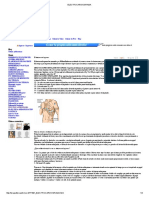 Electrocardiograma Como Saber Interpretarlo