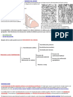 Recristalizacion.deformacion Alta Temperatura (1)