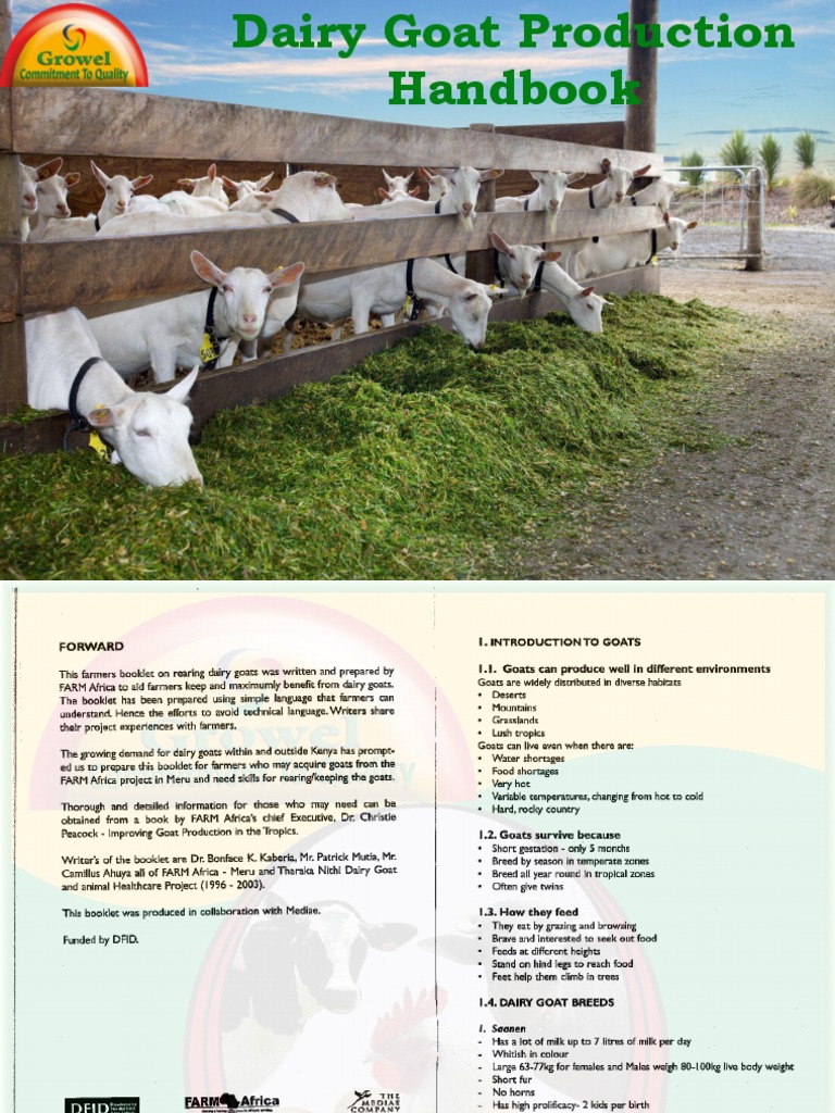 Dairy Goat Farming Essentials Guide | PDF | Goat | Dairy