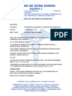Eco Partes Blandas - Paniculo Adiposo Abdominal | PDF