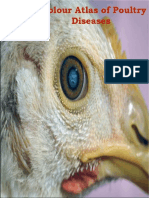 A Colour Atlas of Poultry Diseases