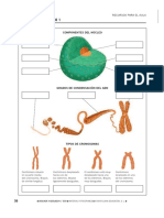 Tema 1 La Célula Material Fotocopiable (4ºESO Santillana)