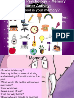 Everything You Need Memory Presentation