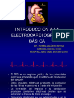 EKG Basico