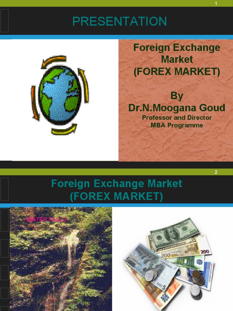 Foreign Exchange Market P P T