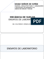 Ensayos de Laboratorio