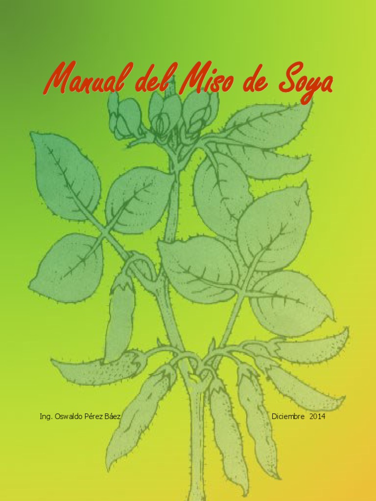 Proceso de Elaboración de Miso de Soya | PDF | Proteínas | Alimentos