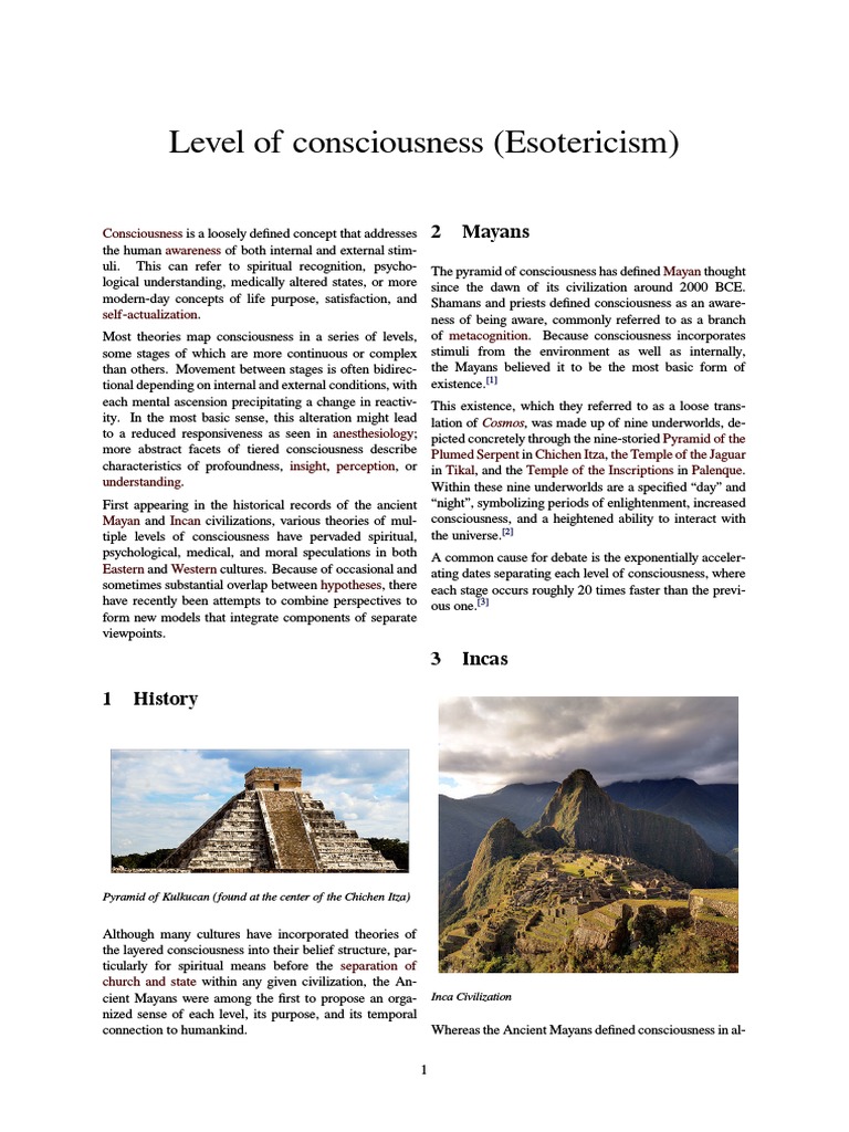 Levels of Consciousness Explained | PDF | Metaphysics Of Mind ...
