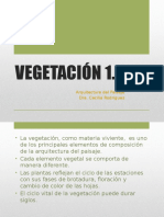 Vegetación