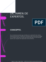 Dictamen de Expertos.