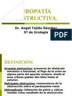 420 2014-02-24 Uropatia Obstructiva