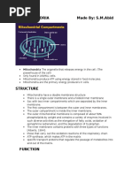 MITOCHONDRIA