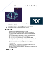 MITOCHONDRIA