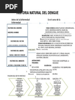 Historia Natural de La Enfermedad Del Dengue.