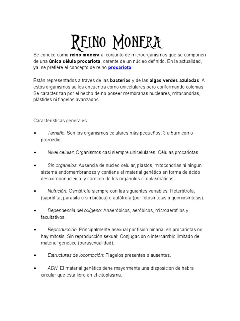 Reino Monera.docx Bacteria Prokaryote