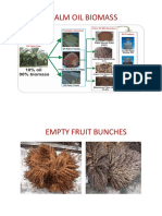 Palm Oil Biomass
