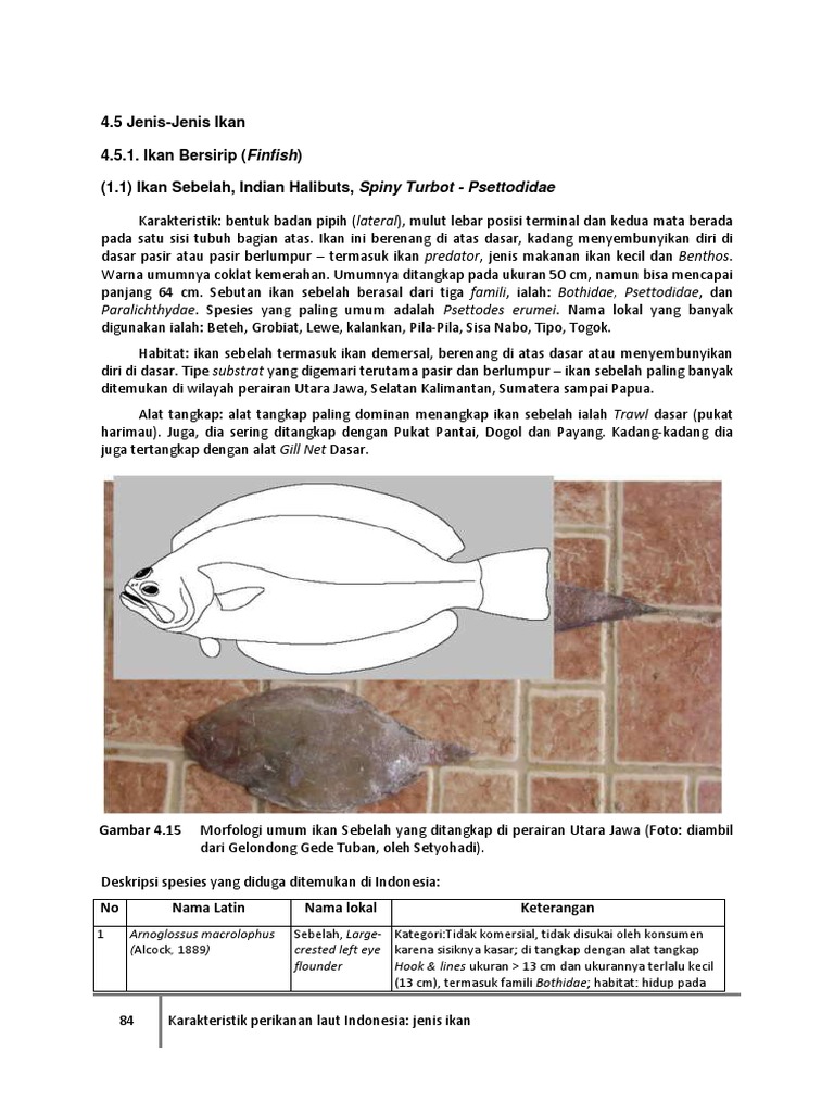 4c 1 Ikan Hasil Tangkap 1 Pdf