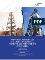 EPG_Raport FPPG_Industria Petrolului Si Gazului_Dec 2014_0