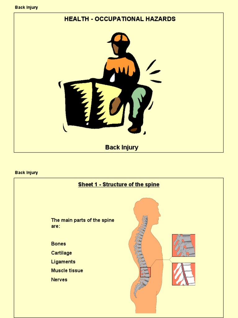 Preventing Back Injuries at Work | PDF | Injury | Clinical Medicine