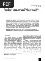 Dimorfismo Sexual Em Cnemidophorus Lacertoides