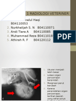 Presentasi Kelompok 1 Radiologi FKH Ipb