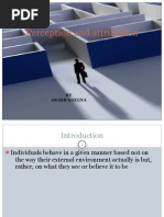 Download Perception and Attribution by Akash saxena SN30264695 doc pdf