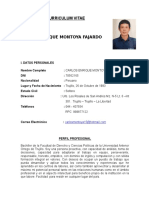 CV - CARLOS MONTOYA satt.doc