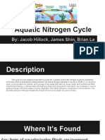 Aquatic Nitrogen Cycle Hillockleshin 1