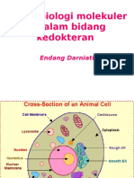 Presentation Peran Biologi Dibidang Kedokteran KBK Blok 1