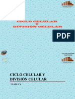 Ciclo Celular y Divisin 5400956