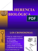 La herencia biologica.ppt