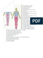 C2 Protuberancia Occipital