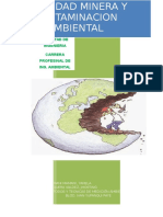 Actividad Minera y Contaminacion Ambiental