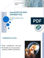 Morfofunción anorectal