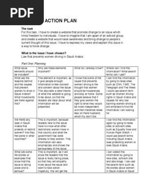 website action plan