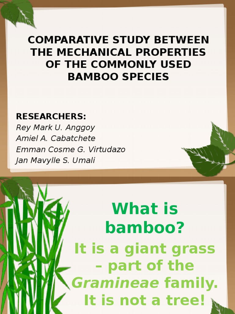 literature review on bamboo pdf