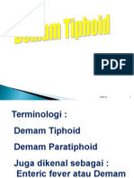 Typhoid 1
