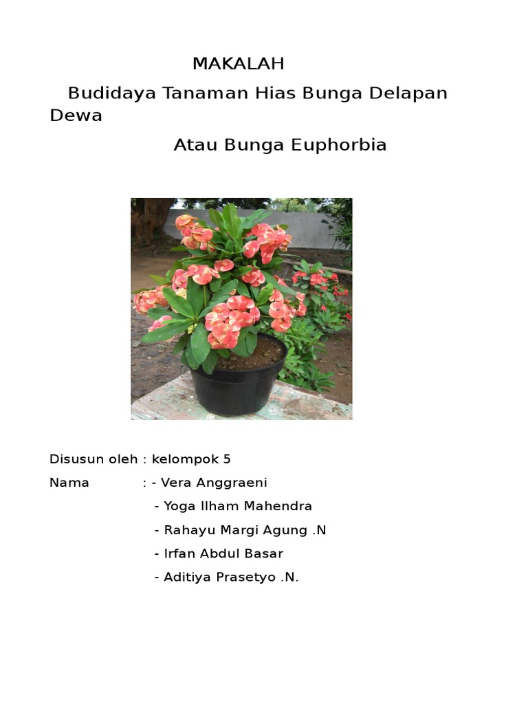 Makalah Budidaya Tanaman Hias Bunga Delapan Dewa