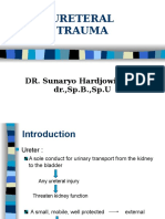 Ureteral Trauma: DR. Sunaryo Hardjowidjoto, dr.,Sp.B.,Sp.U