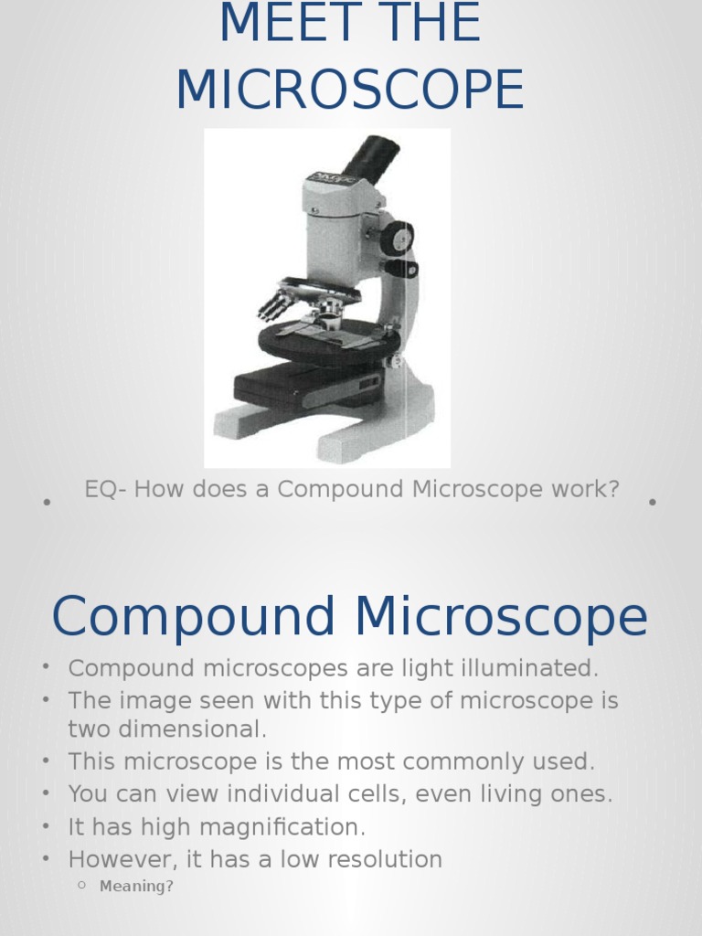 How a Compound Microscope Works | PDF | Scanning Electron Microscope ...