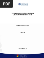Taller Copaso Avanzado