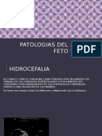 Patologias Del Feto Rosaly