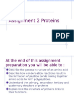 13 2 Proteins