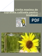 Limita Maxima de Suprafata Cultivata Pentru Biodiesel