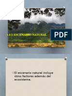 Escenario Natural