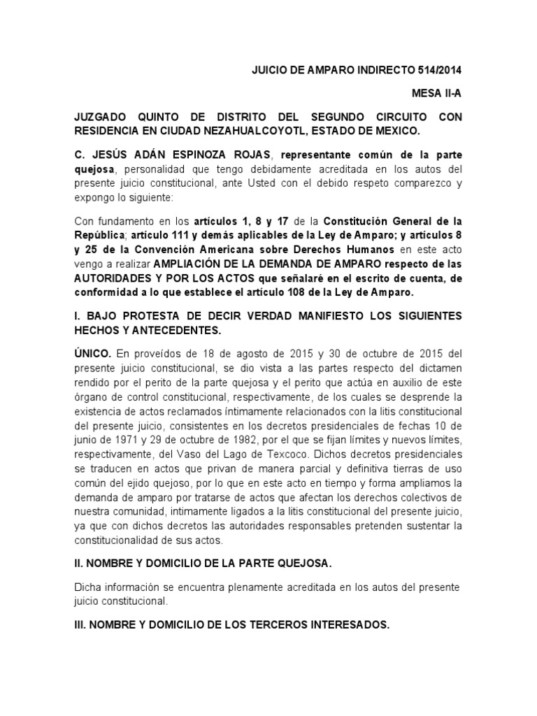 Ampliacion de La Demanda de Amparo | PDF | Autodeterminación | Caso de ley