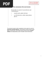 The autonomic nervous system