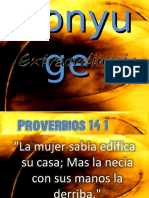 Conyuge Extraordinario