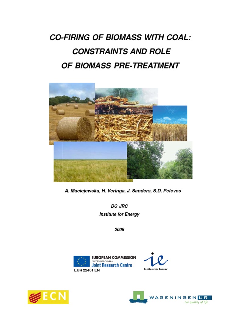 Co-Firing of Biomass With Coal-Constraints and Role of Biomass Pre ...