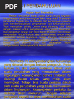 Download Power Point Thorndike by DWI ANDRI YATMO SN30310645 doc pdf